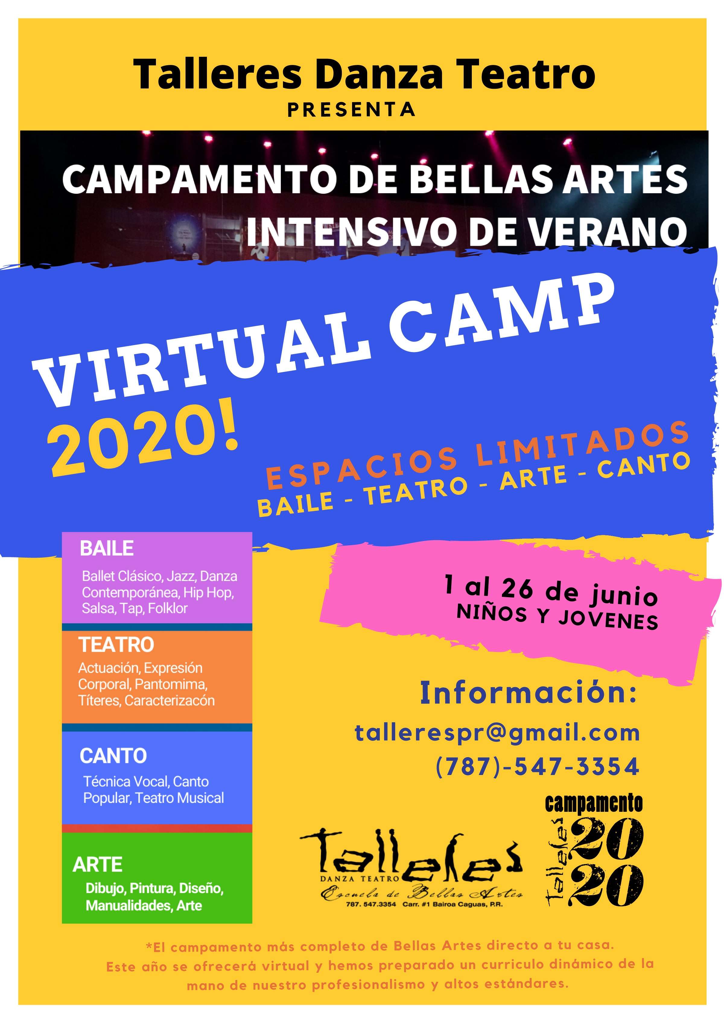 Summer Workshop School Poster campamento virtual de Bellas Artes