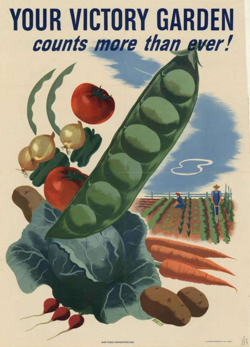 Agriculture Department. War Food Administration. Printer U.S. Government