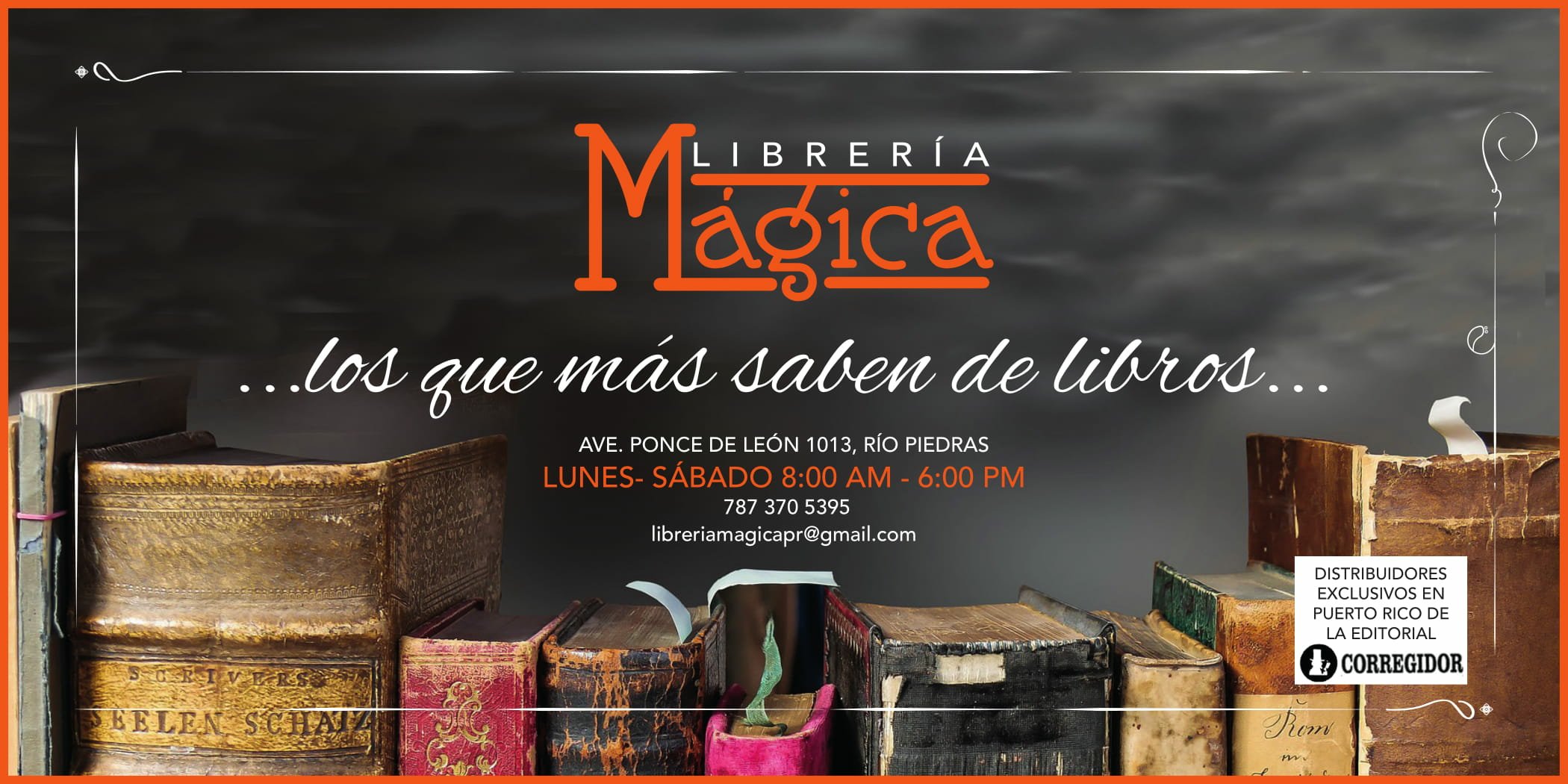 libreria magica adoquin times-11074249791..jpg