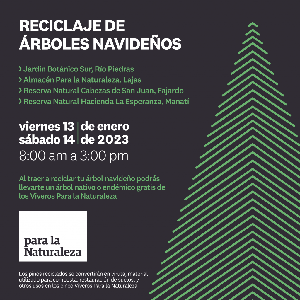 reciclar su árbol de Navidad